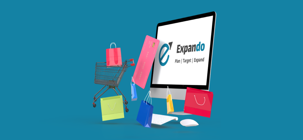 Ecommerce website development services karachi