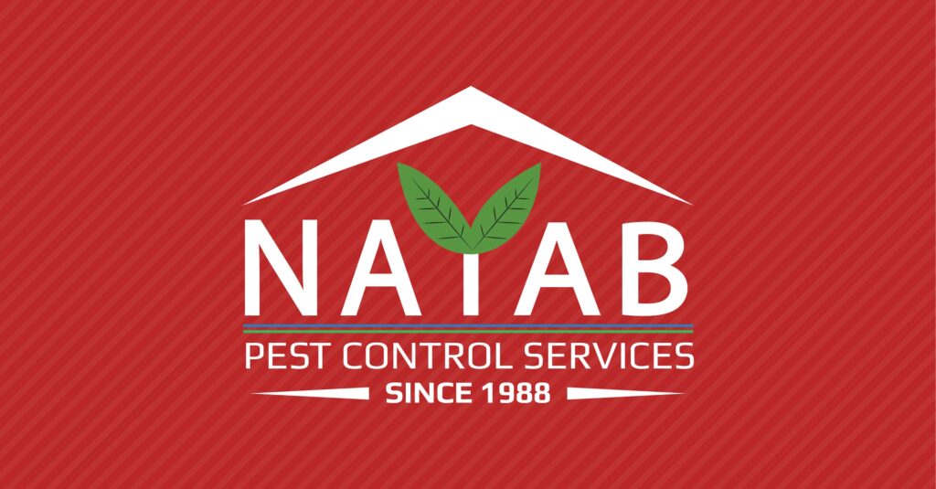 Nayab pest control portfolio